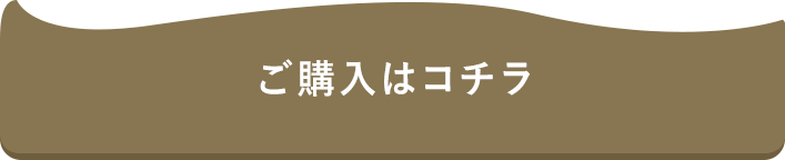 ご購入はコチラ